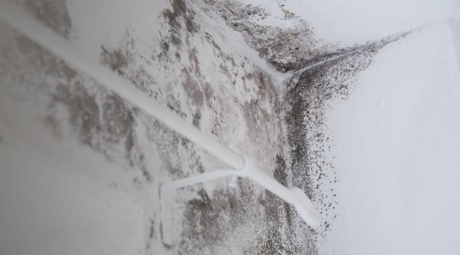 Why choose SurgeLine Team for water damage restoration in Canyon Country